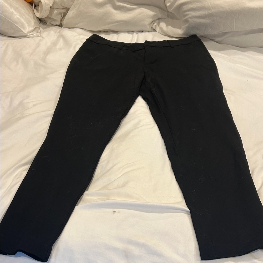 Christopher & Banks Women’s Black Ponte Pants